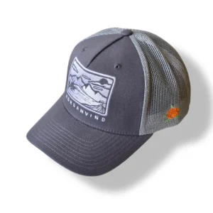 Ash Premium Cap