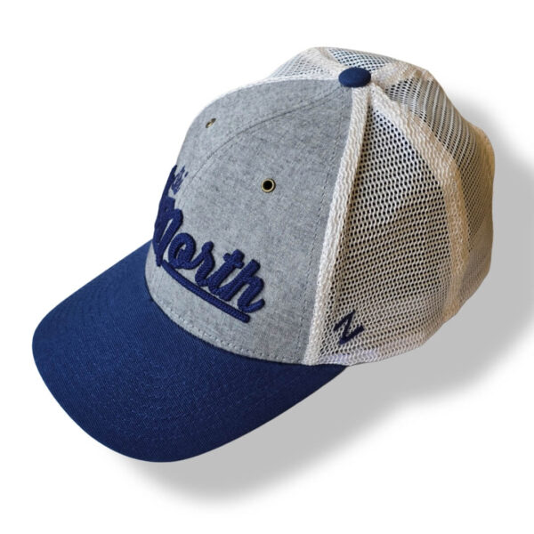 Ash Trucker Cap