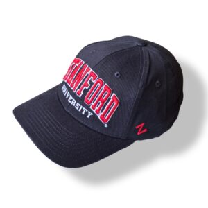 Black Stan Baseball Cap